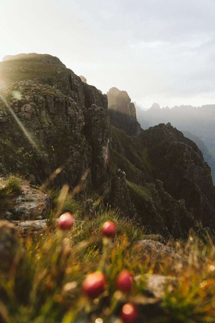 The 9 Best hikes in Cape Town