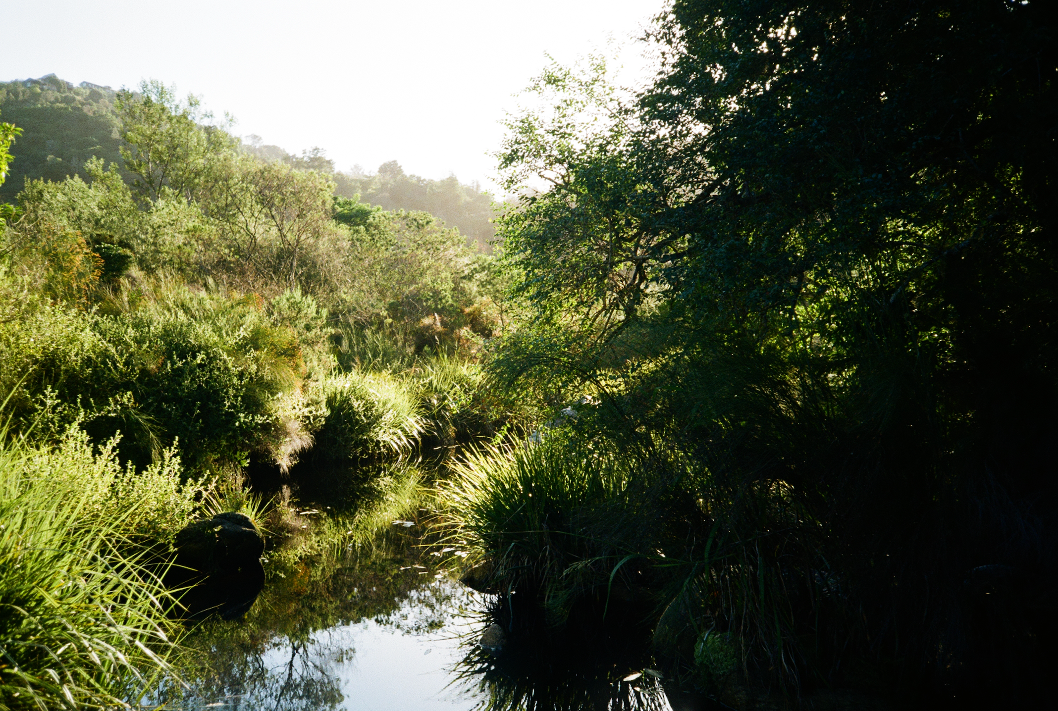 9 of the best hikes in Wilderness