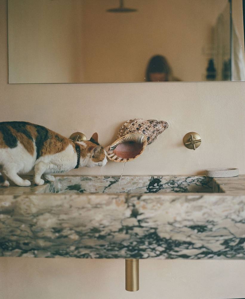 Shell tap over the marble basin