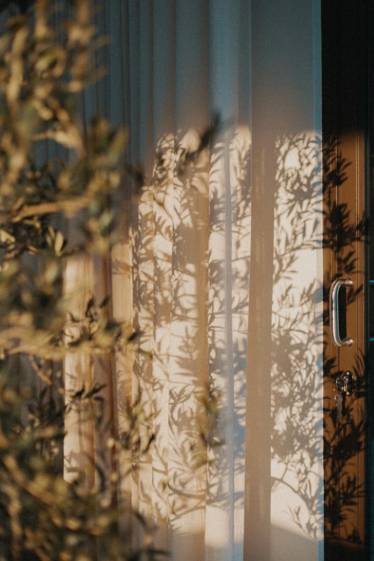 Olive shadows across the curtains